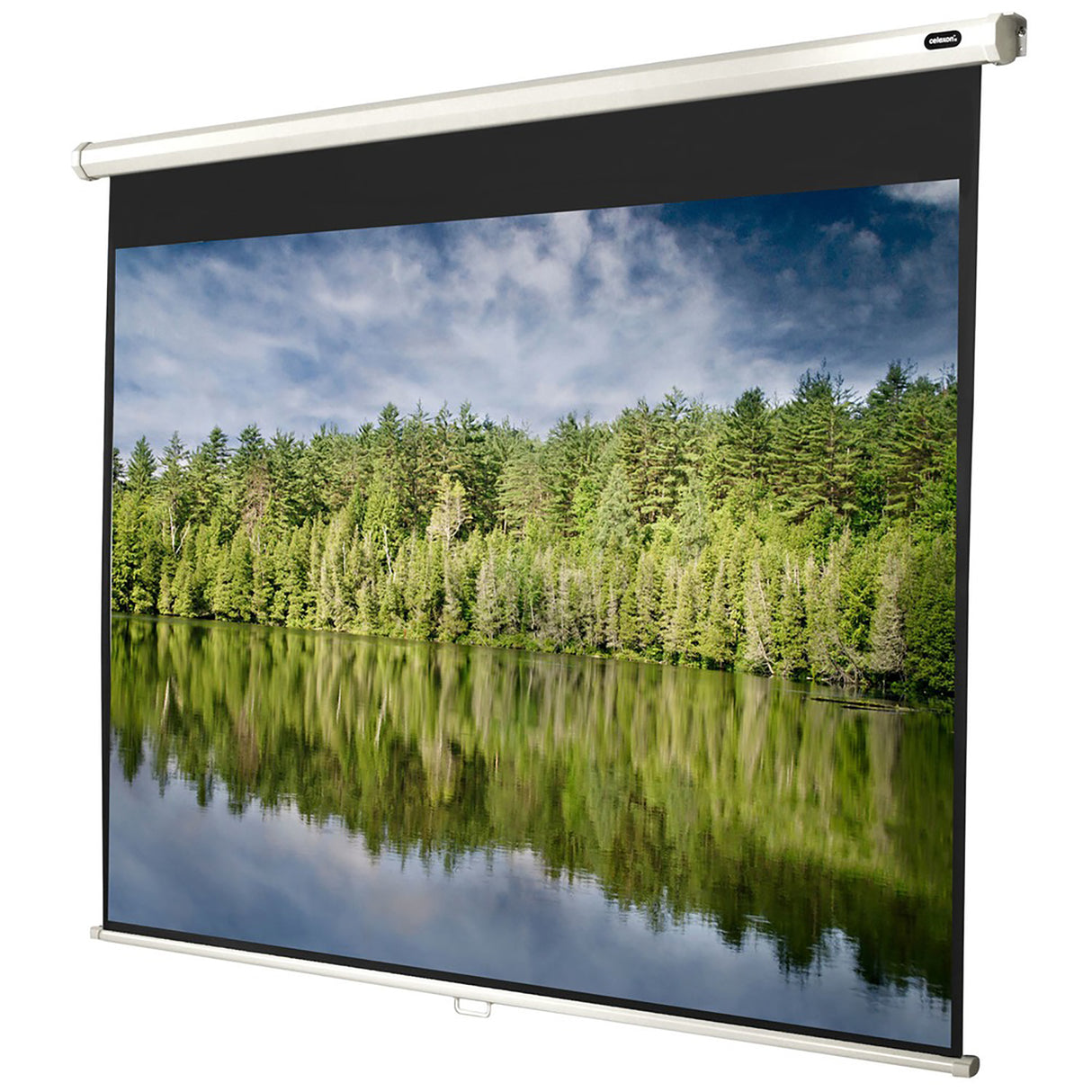 Celexon Leinwand Rollo Economy 200x150 cm - Frontansicht mit projiziertem Bild