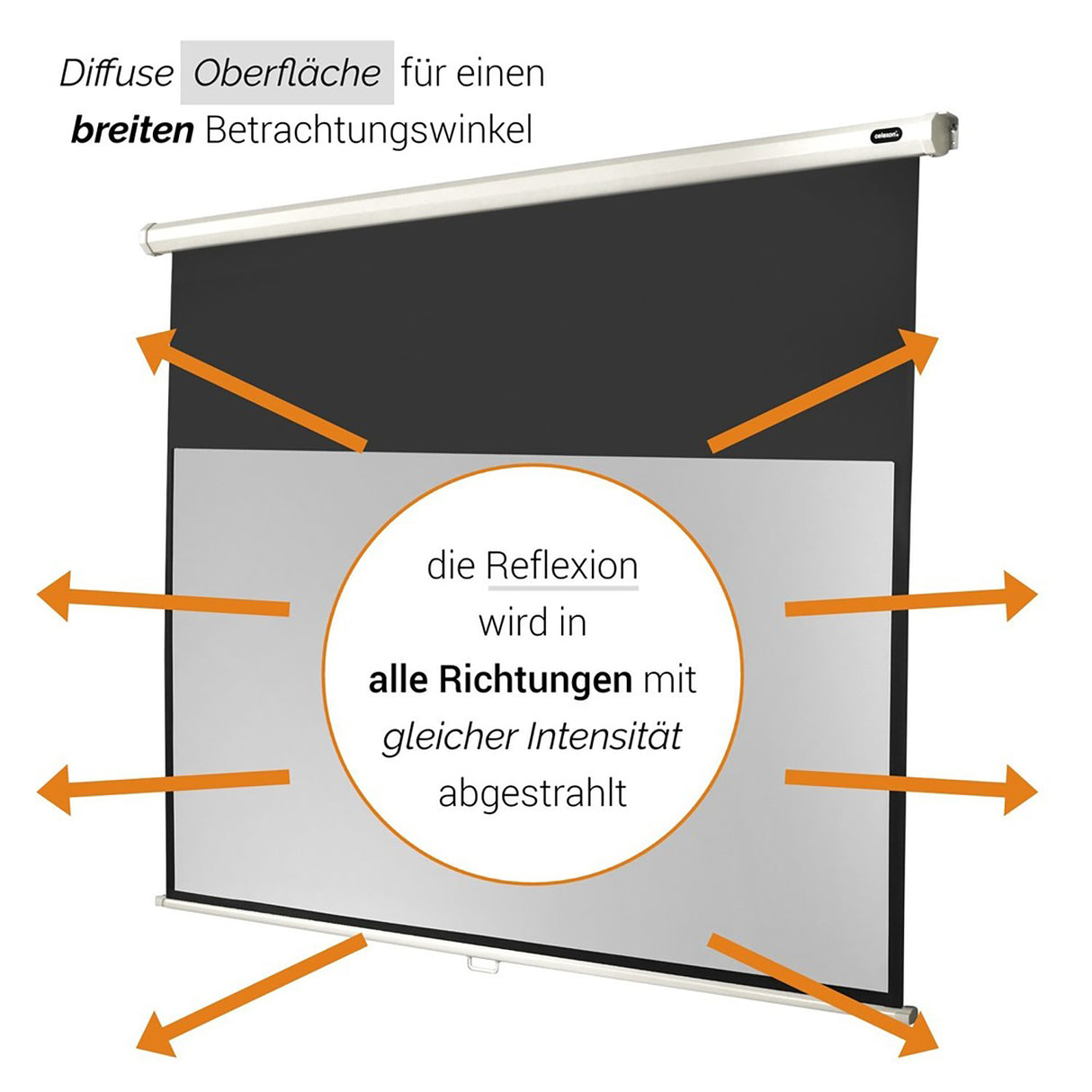 Celexon Leinwand Rollo Economy 220x124 - Reflexionseigenschaften Illustration