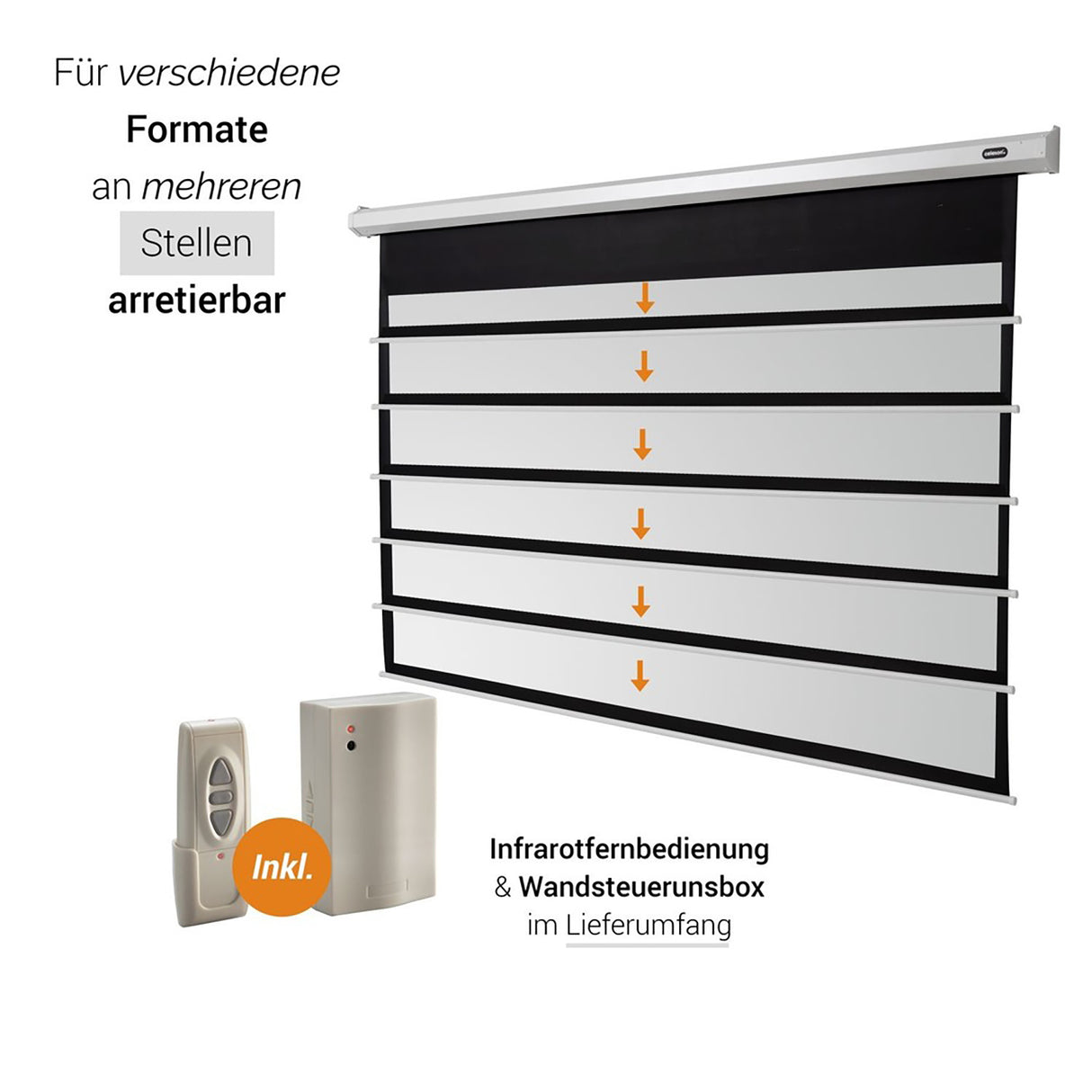 Celexon Leinwand Motor Economy 280 Zoll - Mehrstufige Arretierung mit Fernbedienung