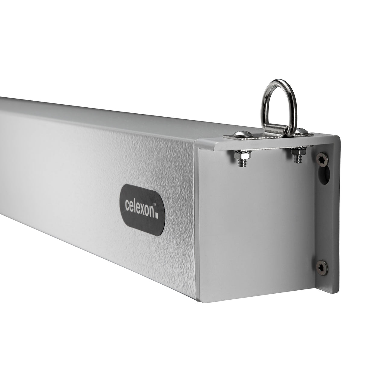 Celexon Leinwand Motor Professional Plus 180 Zoll - Detail Gehäuse mit Logo
