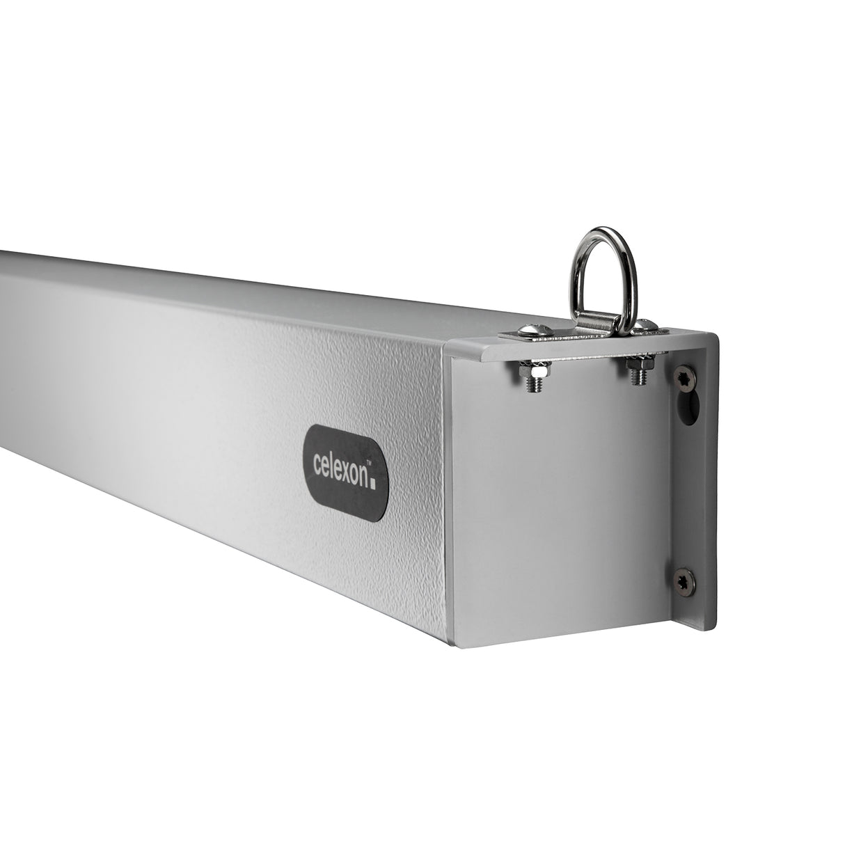 Celexon Leinwand Motor Professional Plus 240 Zoll - Detail Gehäuse mit Logo
