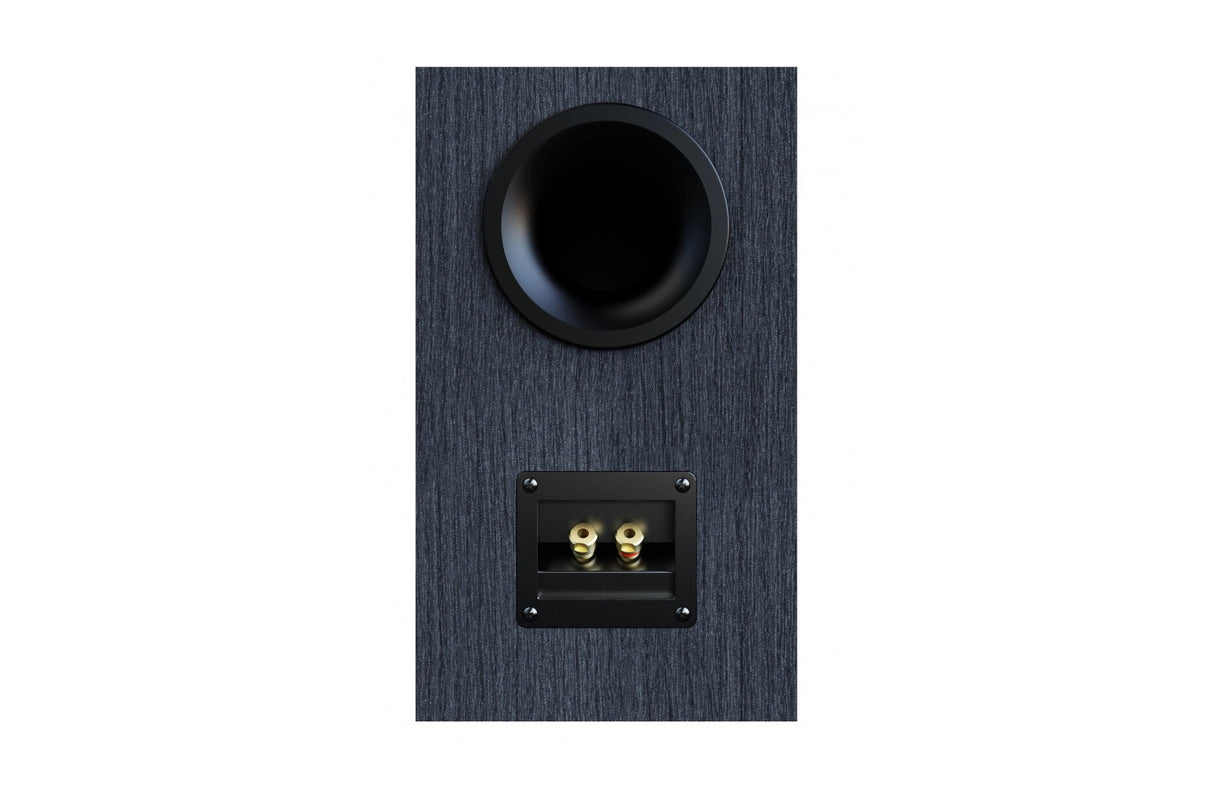 ELAC Debut 3.0 DB63-BK Kompaktlautsprecher - Rückseite mit Anschlüssen