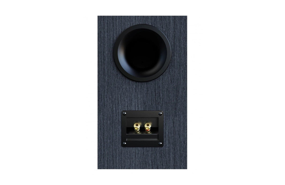 ELAC Debut 3.0 DB63-BK Kompaktlautsprecher - Rückseite mit Anschlüssen