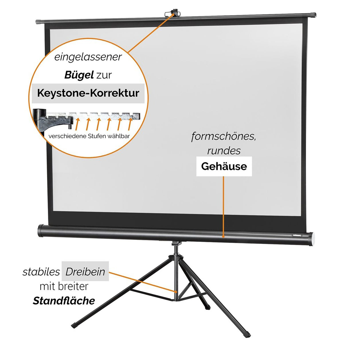 celexon Economy Mobile 110 Zoll Stativleinwand - Detail Keystone-Korrektur und Gehäuse