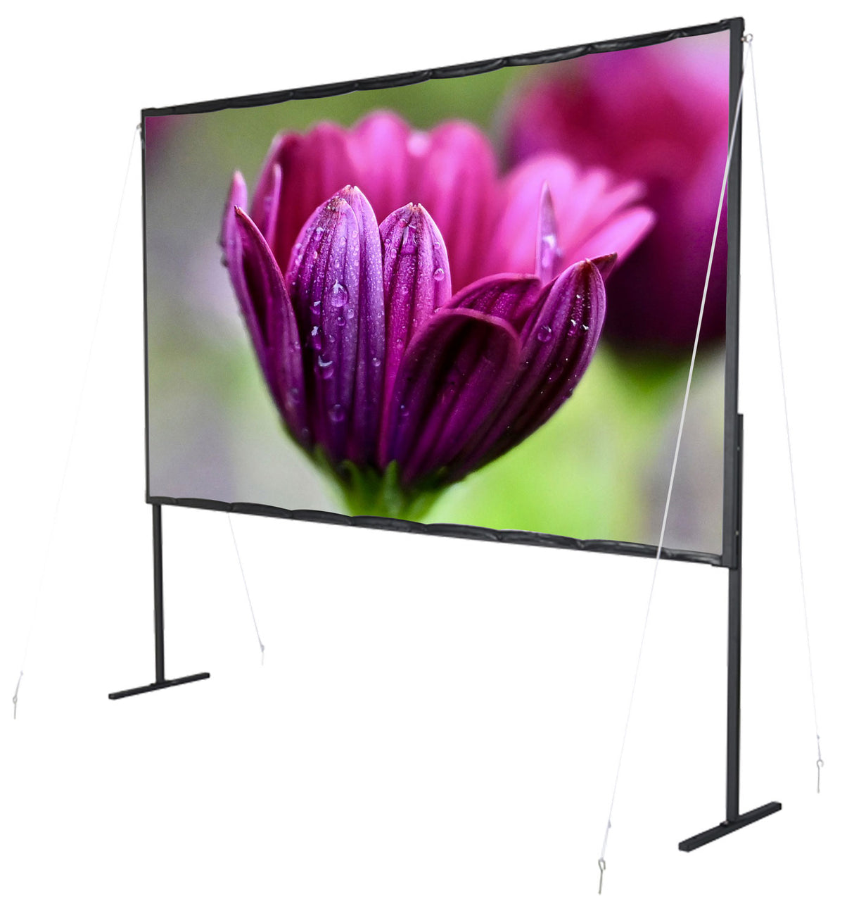 celexon basic line Faltrahmenleinwand 100 Zoll - Schrägansicht mit projiziertem Bild
