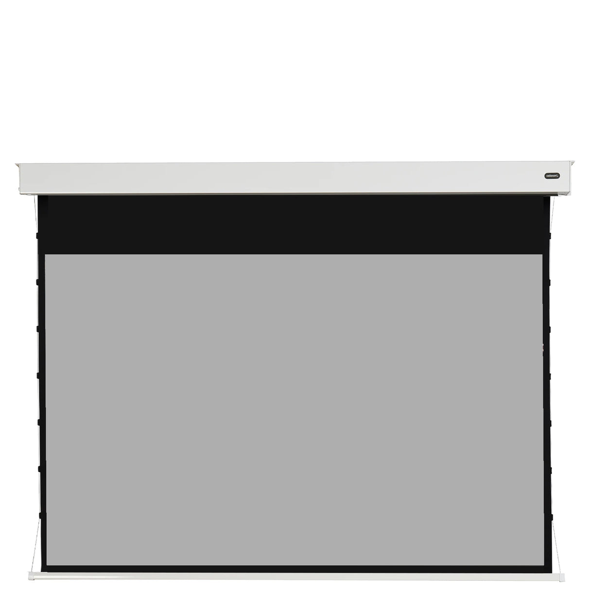 celexon Pearlstone Kontrastleinwand Professional Plus 110 Zoll - Tuchlage