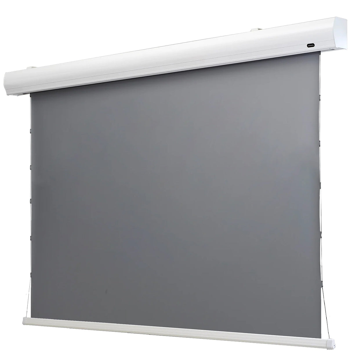 celexon Slate Kontrastleinwand Home Cinema 110 Zoll Motorleinwand - Seite