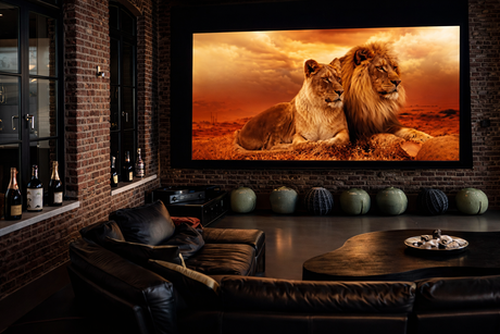 Heimkino Yellow Lion made by HEIMKINO.de Team Düsseldorf