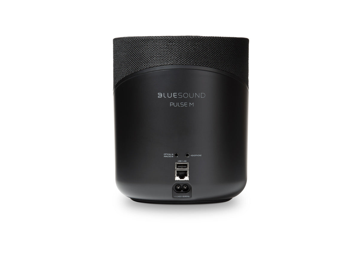 Bluesound PULSE M Schwarz Streaming-Lautsprecher - Rückseite mit Anschlüssen (LAN, USB)