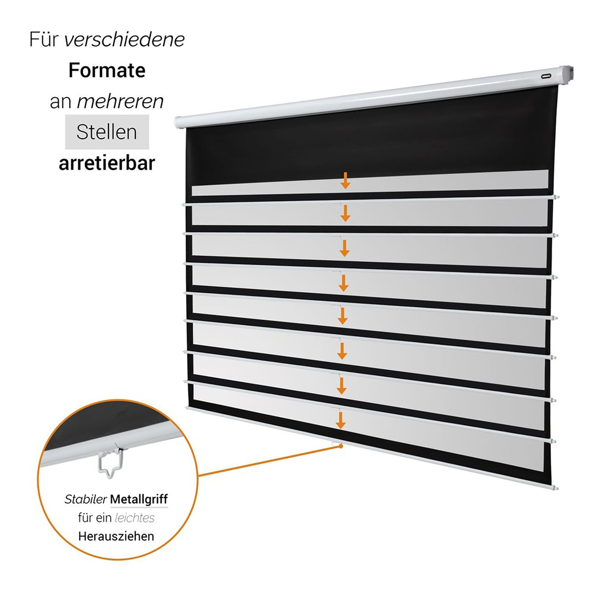 celexon Leinwand Rollo Economy 305x172 - Mehrfach arretierbar für verschiedene Formate
