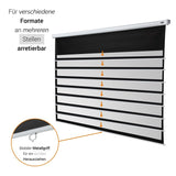 celexon Leinwand Rollo Economy 240x135 - Mehrfach arretierbar für verschiedene Formate