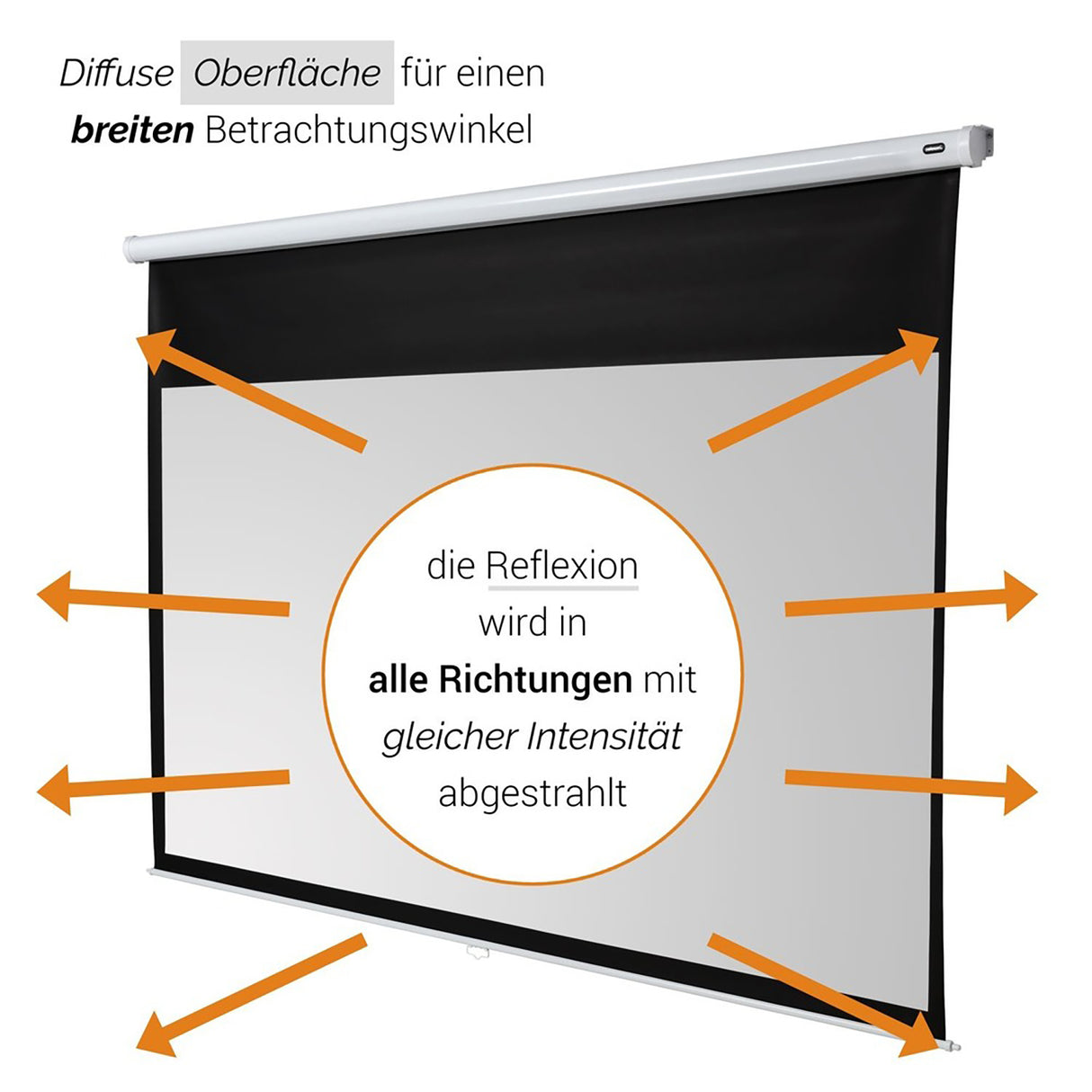 celexon Leinwand Rollo Economy 240x135 - Diffuse Oberfläche Detail