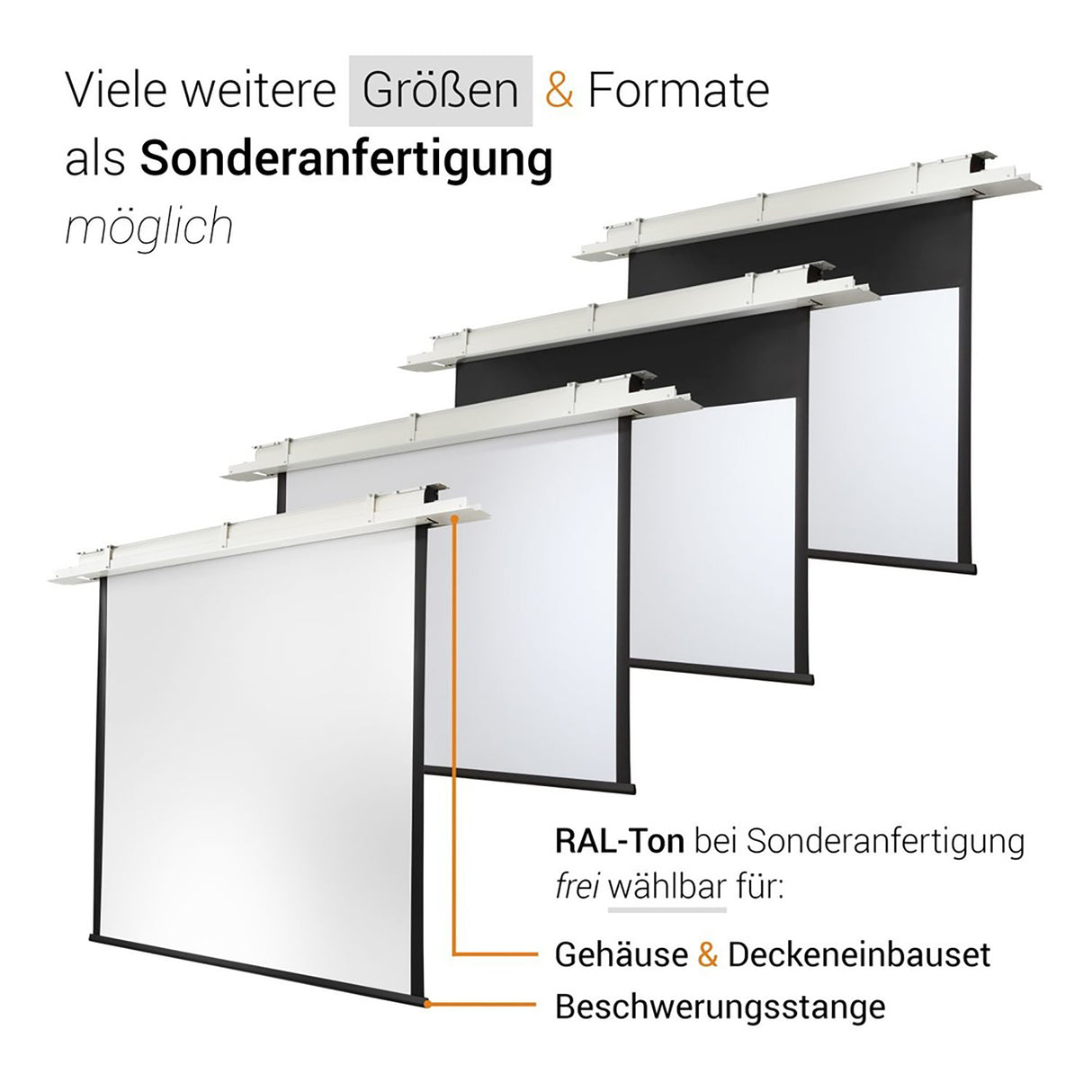 celexon Deckeneinbau Leinwand Motor Expert 250 x 140 cm - Grafik Sonderanfertigung mit frei wählbarem RAL-Ton