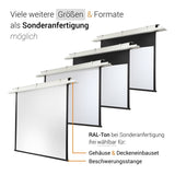 celexon Deckeneinbau Leinwand Motor Expert 250 x 140 cm - Grafik Sonderanfertigung mit frei wählbarem RAL-Ton