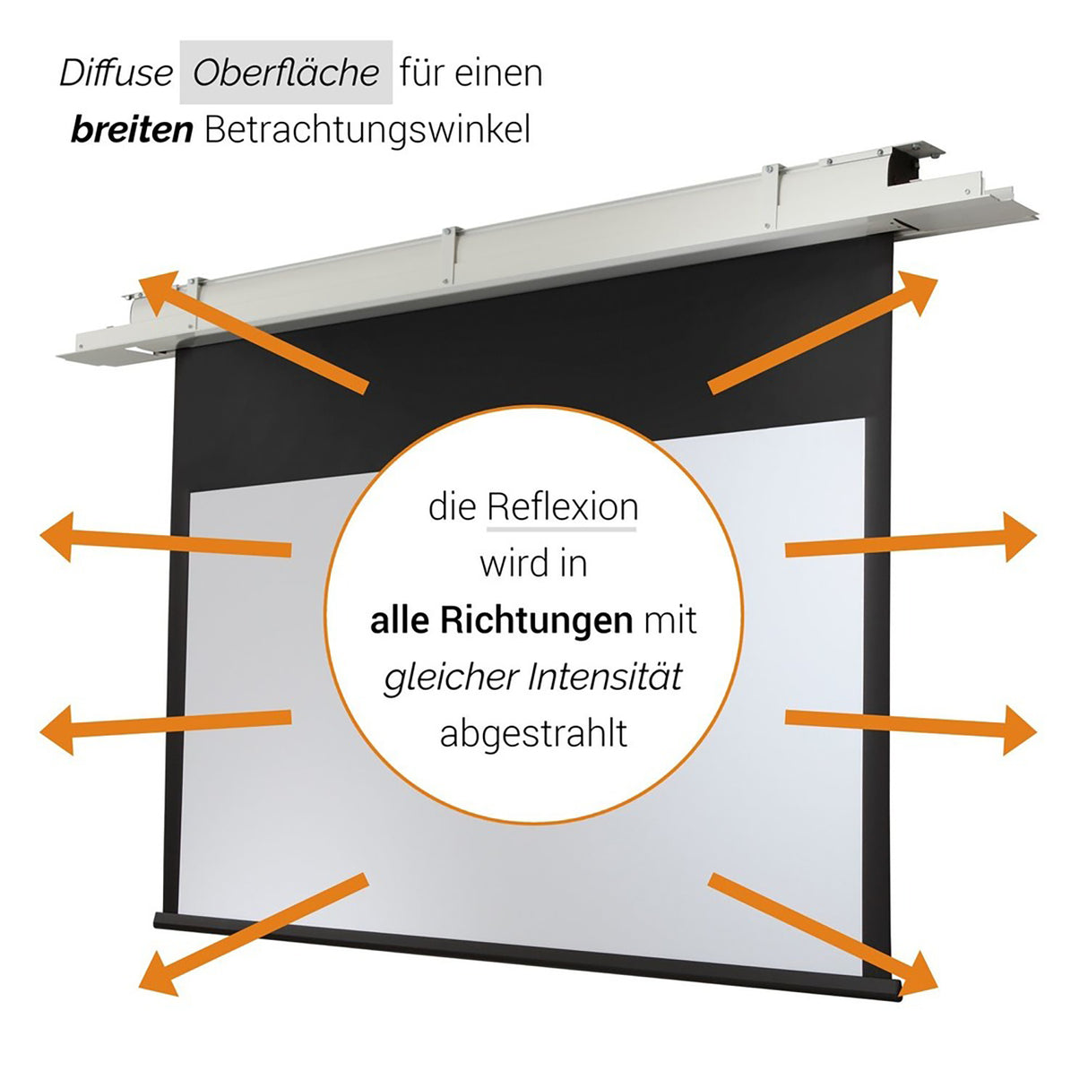 celexon Deckeneinbau Leinwand Motor Expert 300 x 169 cm - Grafik diffuse Oberfläche mit breitem Betrachtungswinkel
