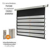 celexon Leinwand Motor Economy 180 x 102 cm - Grafik arretierbare Formate mit Fernbedienung und Wandsteuerbox