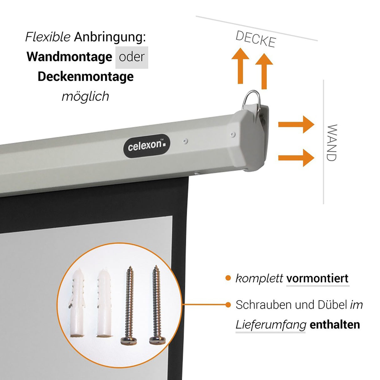 celexon Leinwand Motor Economy 180 x 102 cm - Grafik Wand- und Deckenmontage mit Montagematerial