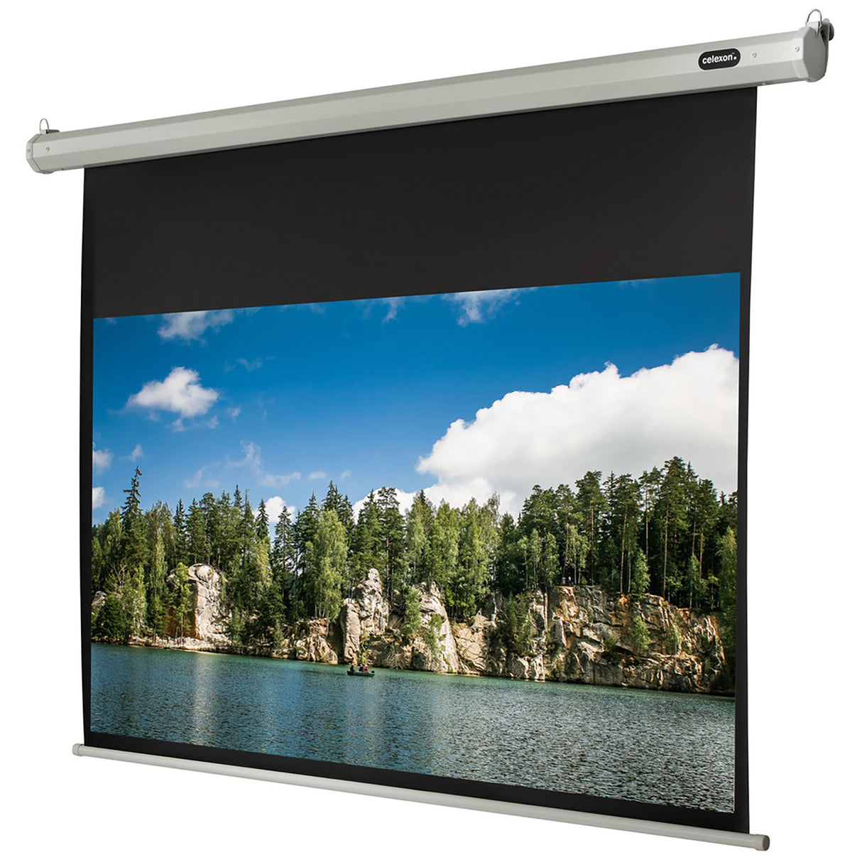 celexon Leinwand Motor Economy 220 x 124 cm - Frontansicht mit projiziertem Bild