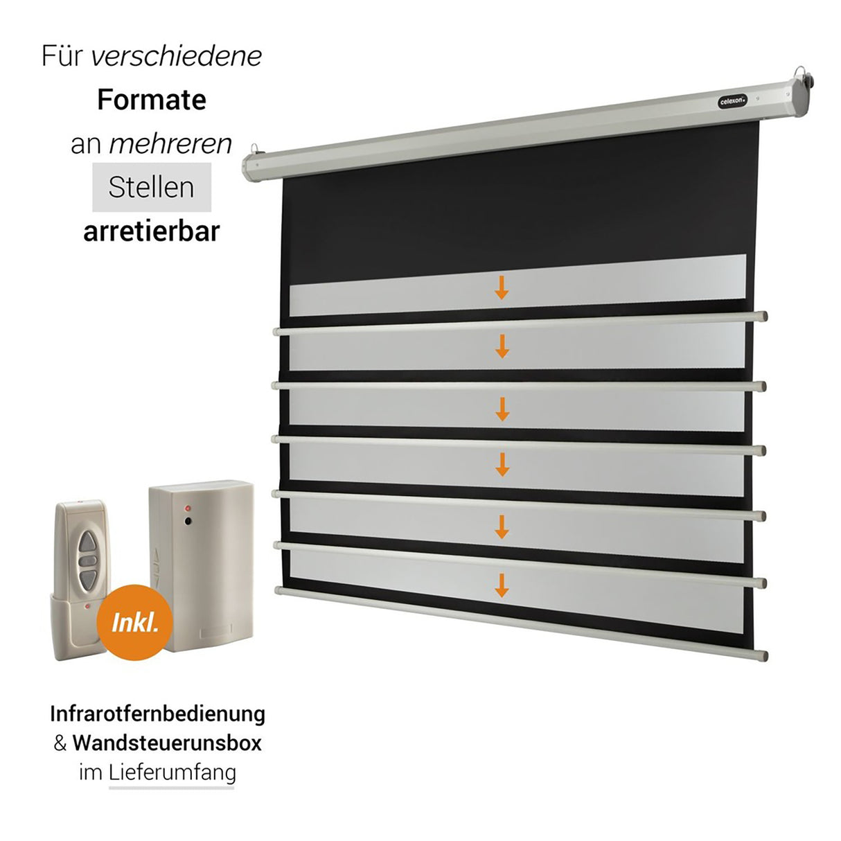 celexon Leinwand Motor Economy 220 x 124 cm - Grafik arretierbare Formate mit Fernbedienung und Wandsteuerbox