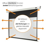 celexon Leinwand Motor Economy 220 x 124 cm - Grafik diffuse Oberfläche mit breitem Betrachtungswinkel
