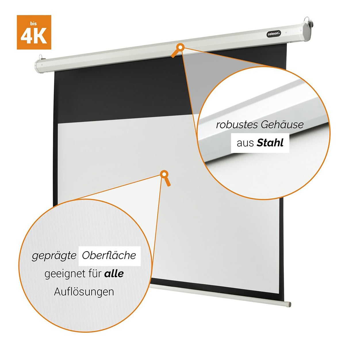celexon Leinwand Motor Economy 220 x 124 cm - Grafik 4K geprägte Oberfläche und Stahlgehäuse