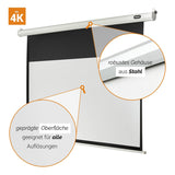 celexon Leinwand Motor Economy 220 x 124 cm - Grafik 4K geprägte Oberfläche und Stahlgehäuse