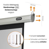 celexon Leinwand Motor Economy 220 x 124 cm - Grafik Wand- und Deckenmontage mit Montagematerial