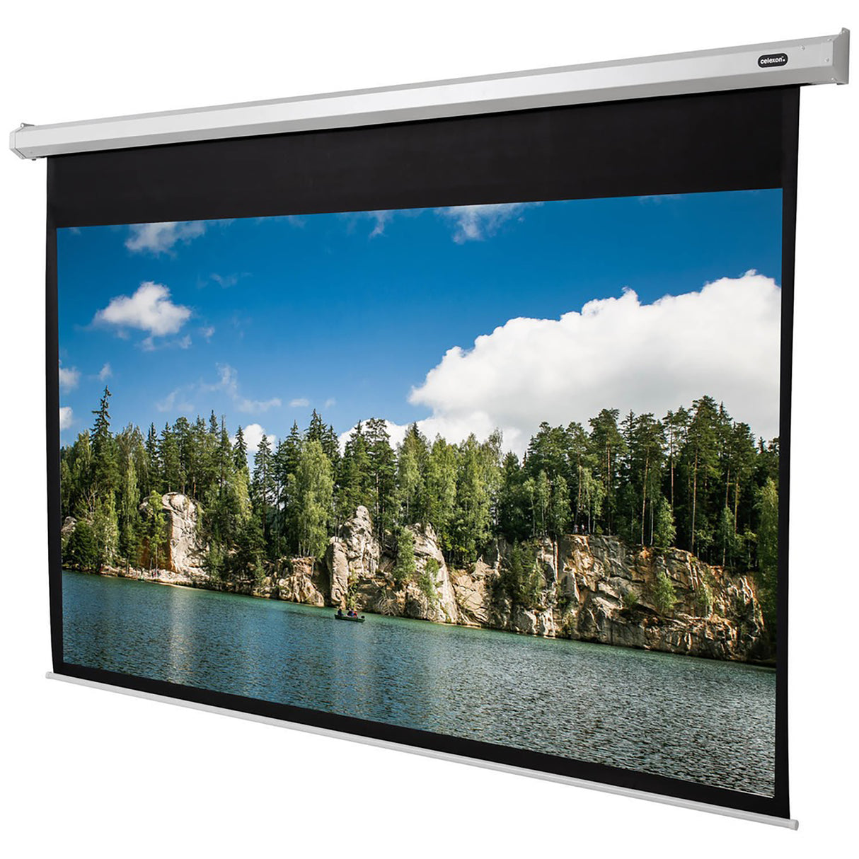 Celexon Leinwand Motor Economy 280 Zoll - Frontansicht mit projiziertem Bild
