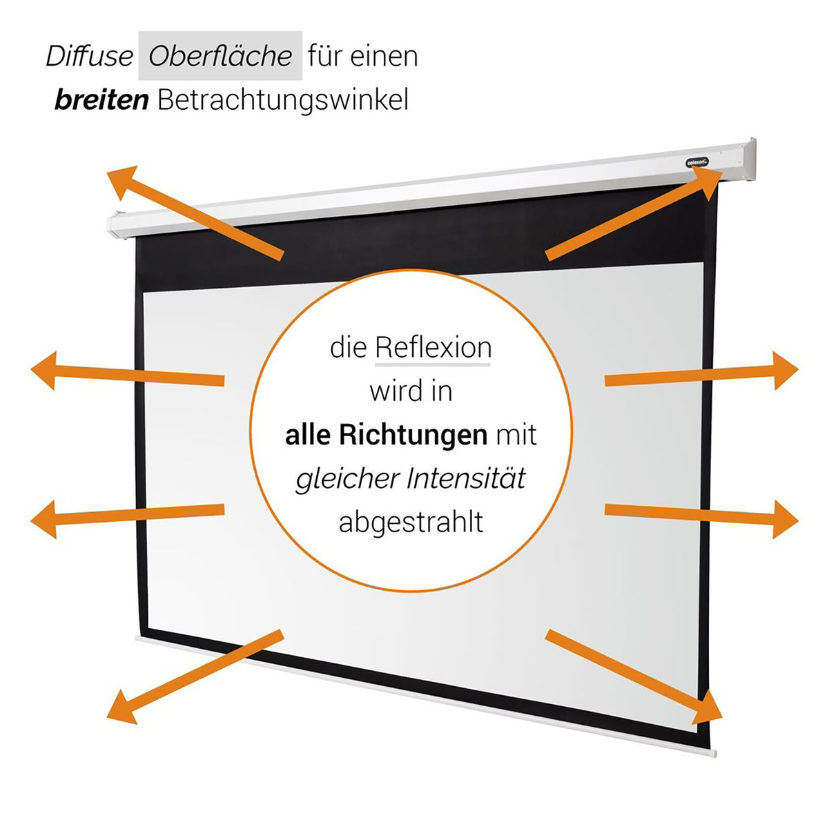 Celexon Leinwand Motor Economy 280 Zoll - Diffuse Oberfläche Reflexionsdiagramm