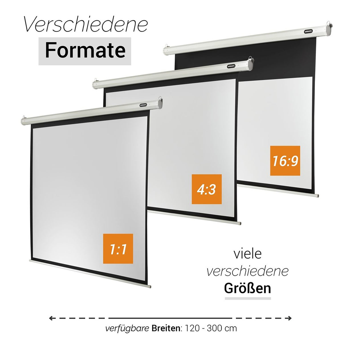 Celexon Leinwand Motor Economy 280 Zoll - Verfügbare Formate 1:1, 4:3, 16:9
