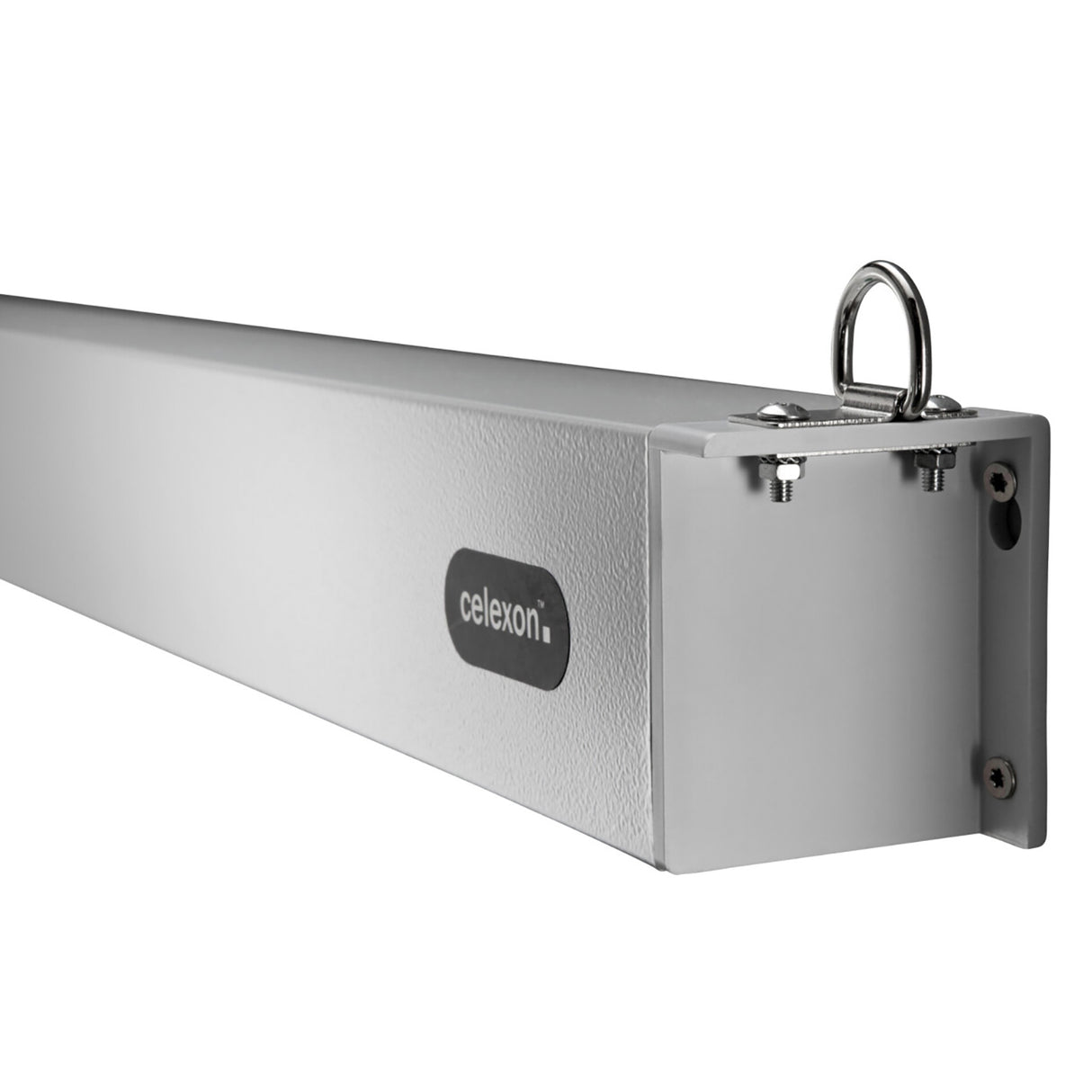 Celexon Leinwand Motor Professional Plus 200 Zoll - Detail Gehäuse mit Logo