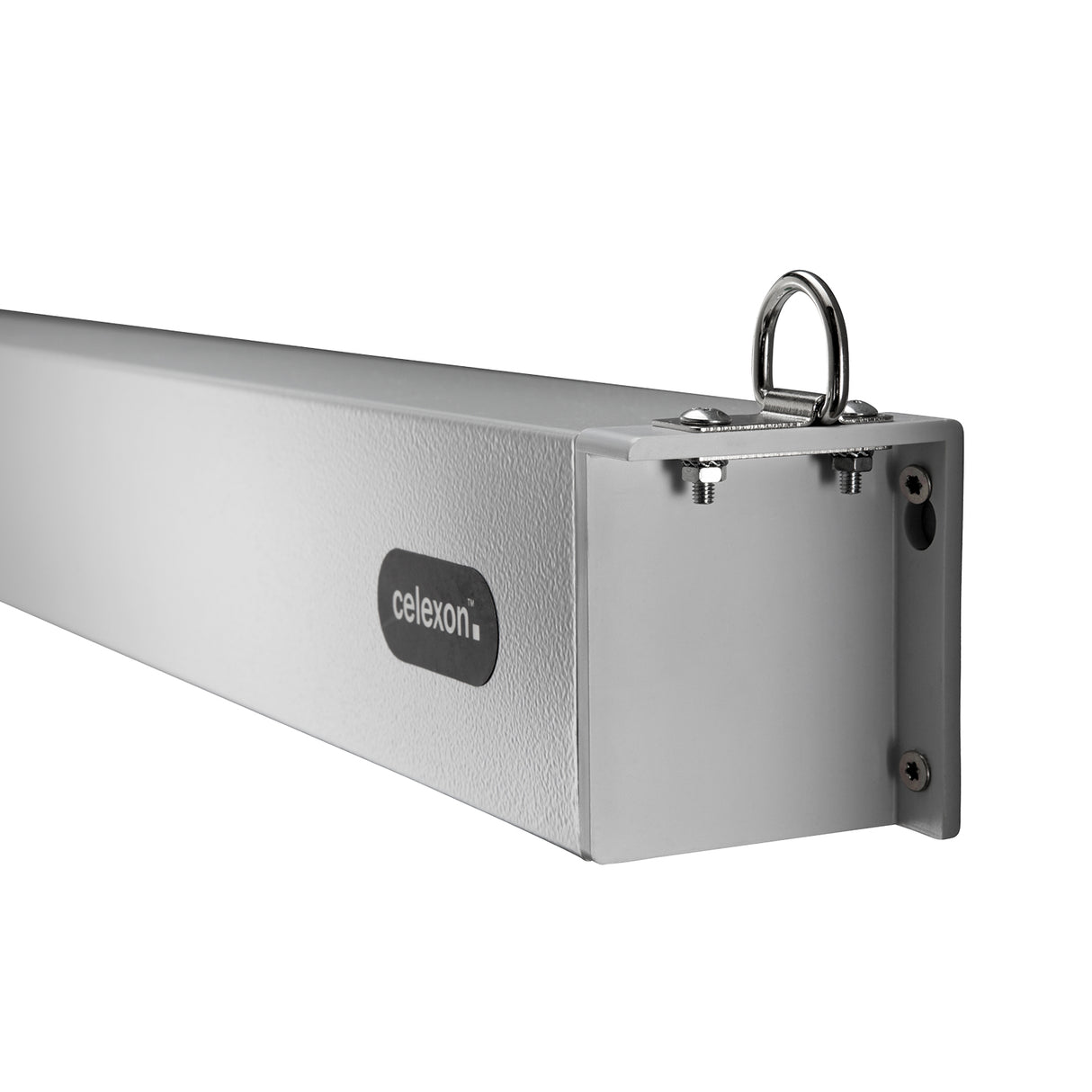 Celexon Leinwand Motor Professional Plus 280 Zoll - Detail Gehäuseende mit Logo