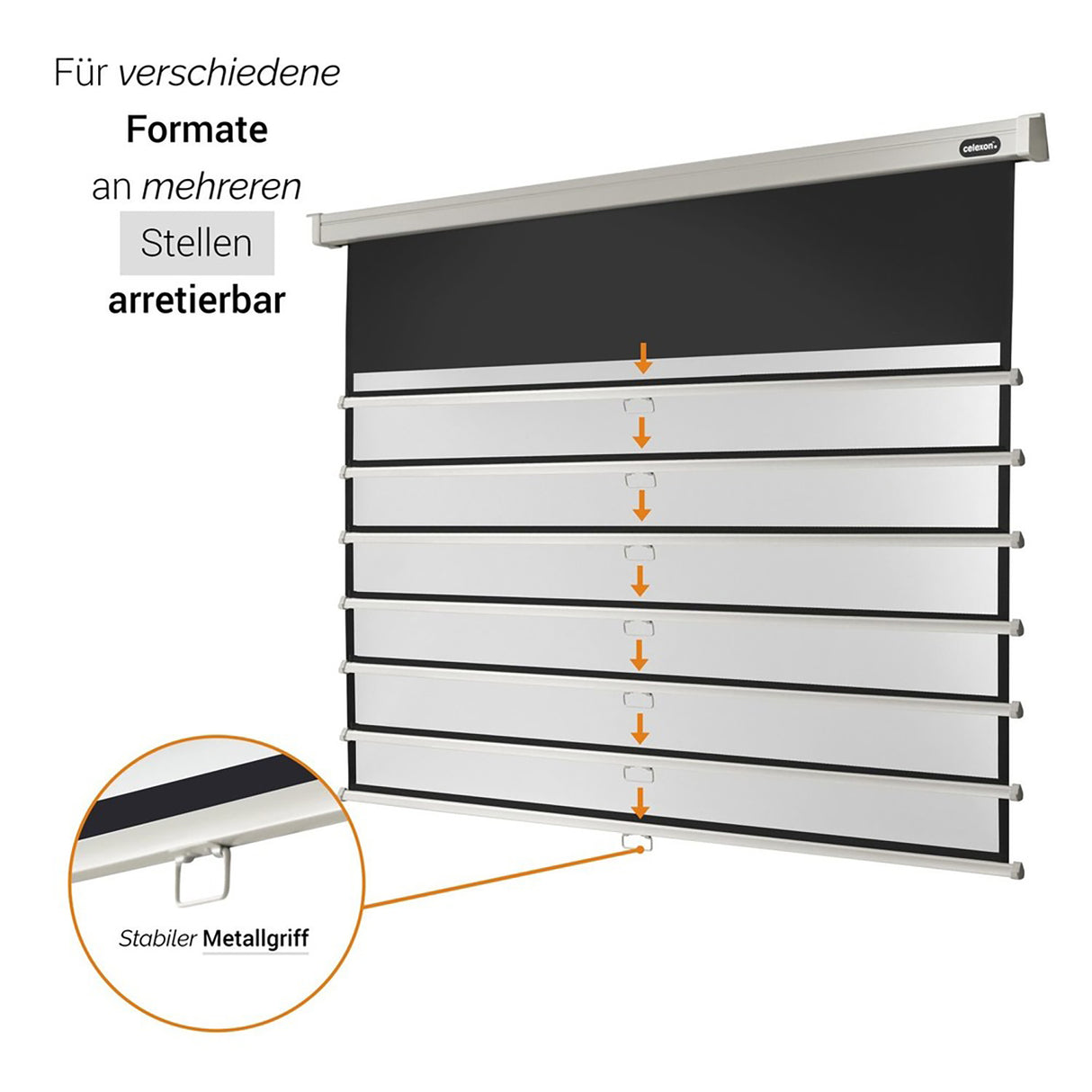celexon Leinwand Rollo Professional 160x90 - Mehrfach arretierbar für verschiedene Formate