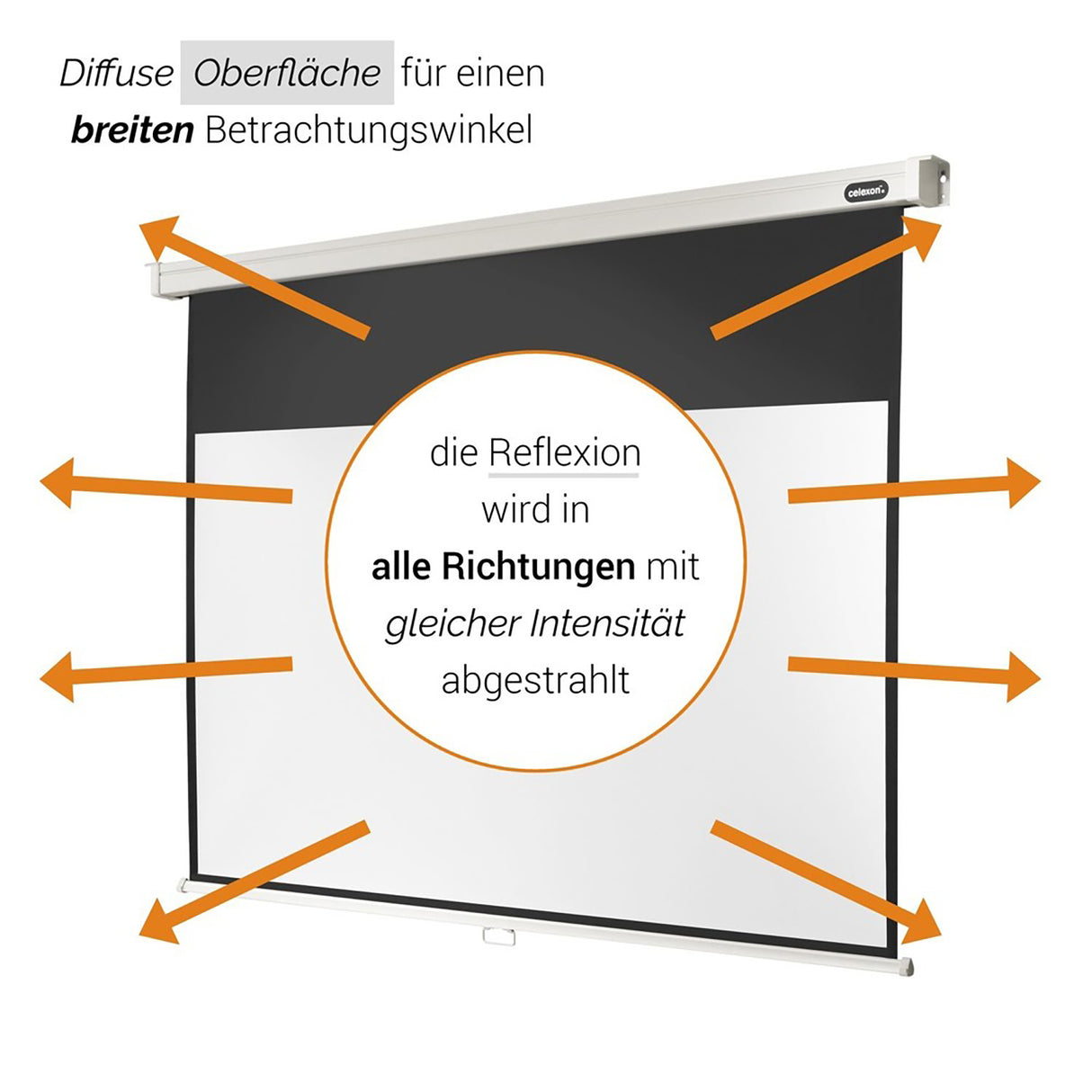 celexon Leinwand Rollo Professional 160x90 - Diffuse Oberfläche Detail