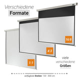 celexon Leinwand Rollo Professional 240x135 - Verfügbare Formate und Größen