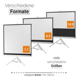 Celexon Stativleinwand Economy 219 x 123 cm - Formatübersicht 1:1, 4:3, 16:9