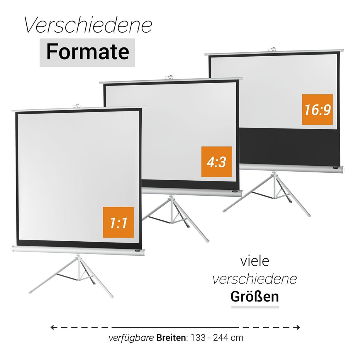 Celexon Stativleinwand Economy 244 x 138 cm - Formatübersicht 1:1, 4:3, 16:9
