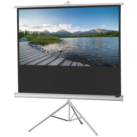 Celexon Stativleinwand Economy 244 x 138 cm - Frontansicht mit projiziertem Bild