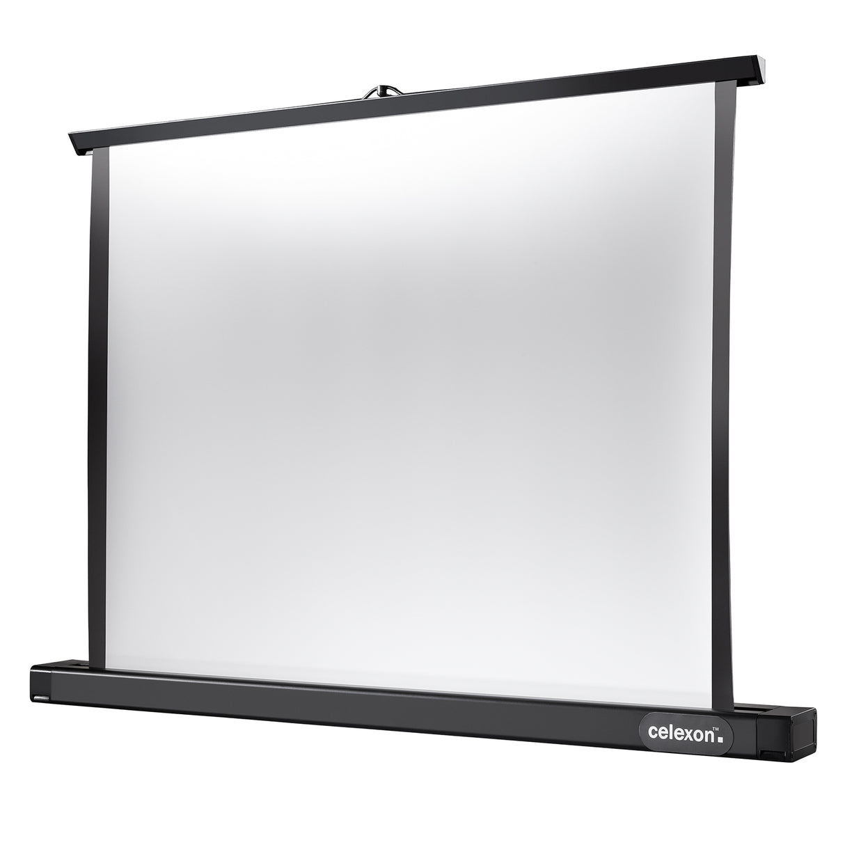 Celexon Tischleinwand Professional Mini Screen 61 x 46cm - Schrägansicht aufgestellt