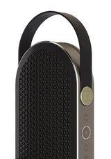 Dali Katch G2 Schwarz Bluetooth Lautsprecher - Detail Tragegriff und Bedienelemente