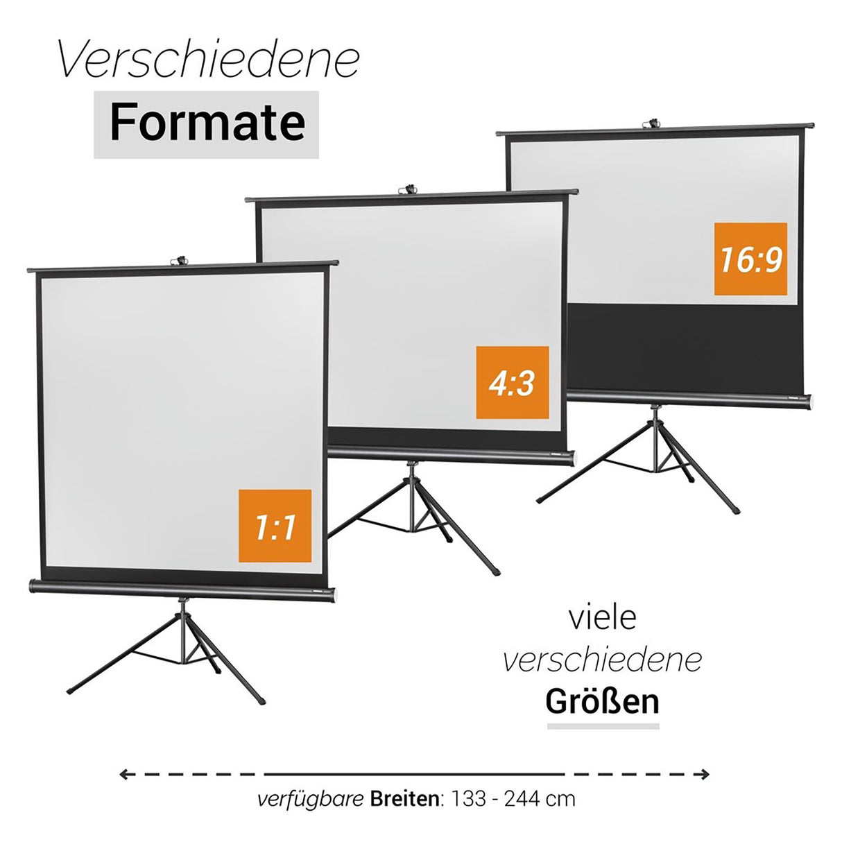 celexon Economy Mobile 110 Zoll Stativleinwand - Verfügbare Formate und Größen