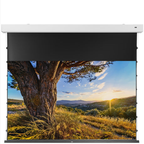 celexon 4K Pro MWHT Leinwand Premium Plus 110 Zoll Motorleinwand - Vorne