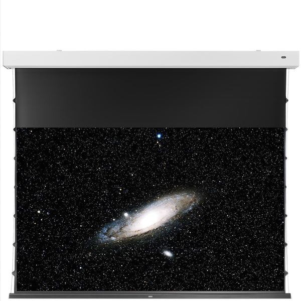 celexon Darkvision Kontrastleinwand Premium Plus 221 x 124cm - 100" Tension Motorleinwand
