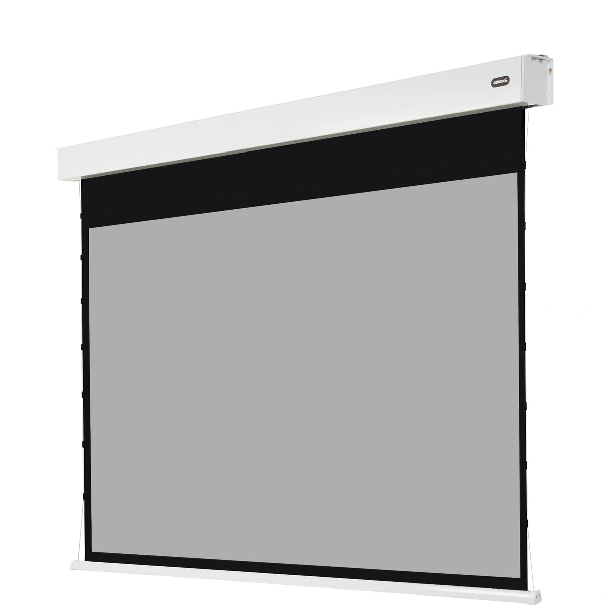 celexon Pearlstone Kontrastleinwand Professional Plus 110 Zoll - Seite