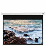 celexon Pearlstone Kontrastleinwand Professional Plus 120 Zoll - Vorne