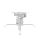 Celexon Beamerhalterung universal MultiCel1200W – 3D-Modell