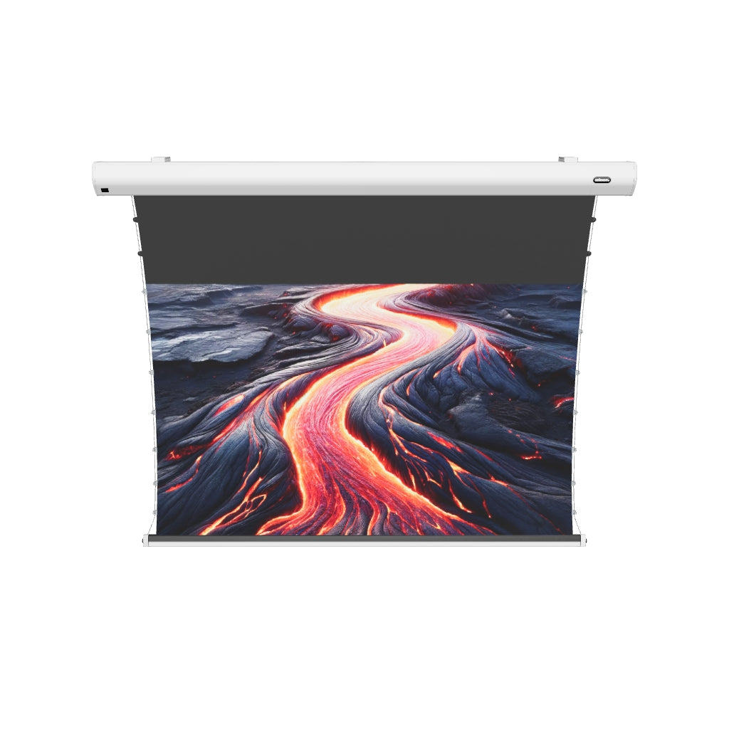 celexon CLR UST Kontrastleinwand 203 x 114cm - 92" weisse Tension Motorleinwand – 3D-Modell