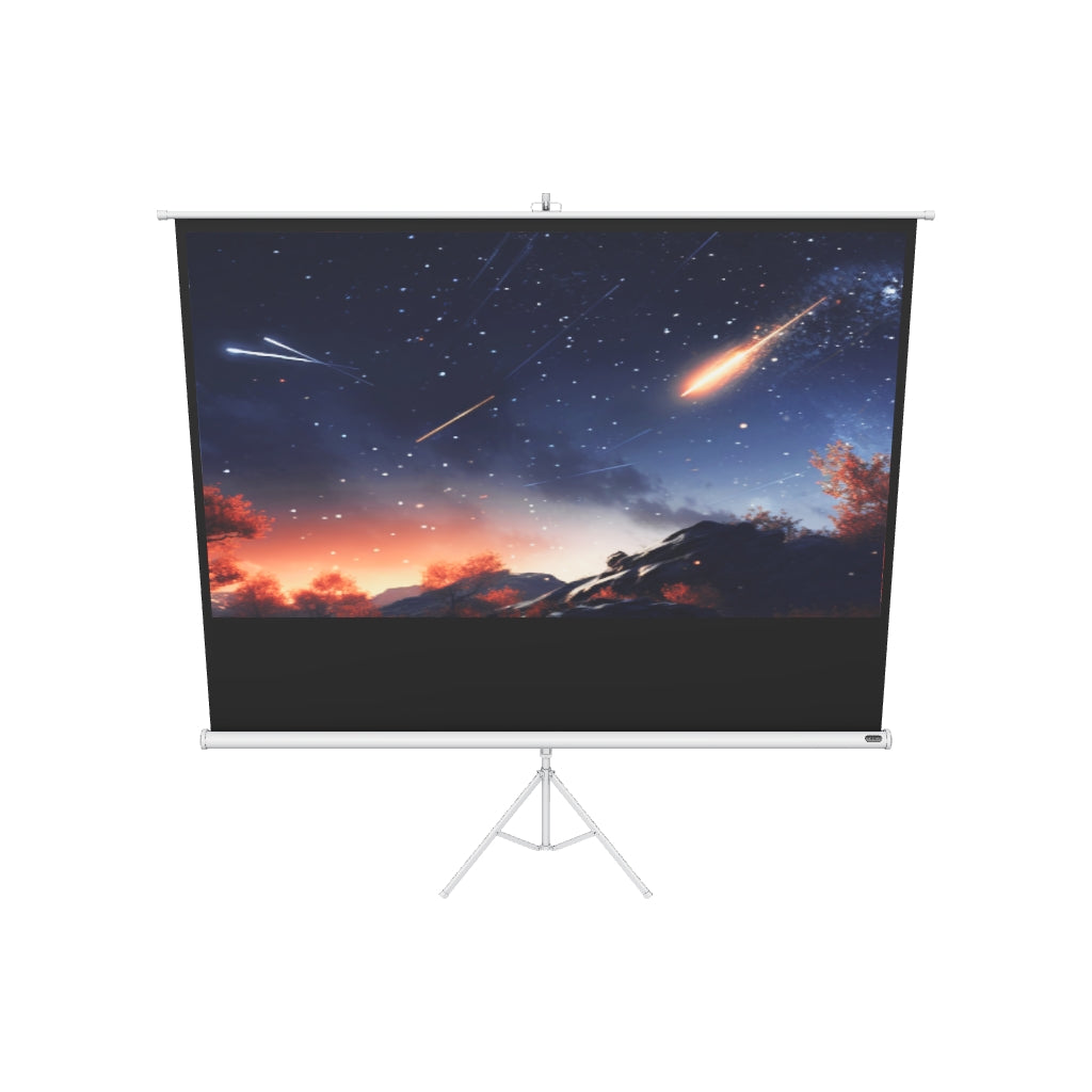 Celexon Stativleinwand Economy 219 x 123 cm - Whit – 3D-Modell
