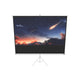 Celexon Stativleinwand Economy 219 x 123 cm - Whit – 3D-Modell