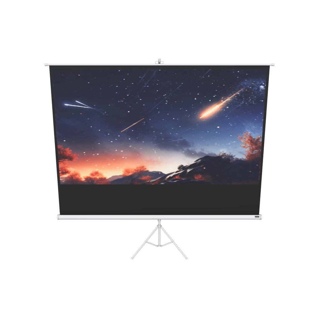 Celexon Stativleinwand Economy 244 x 138 cm - Whit – 3D-Modell